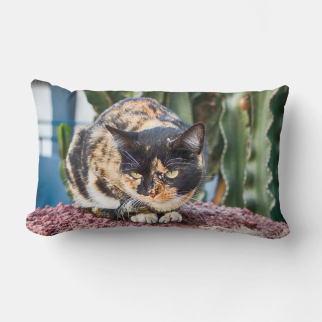 Maspalomas Cat Kussen (Voorkant)