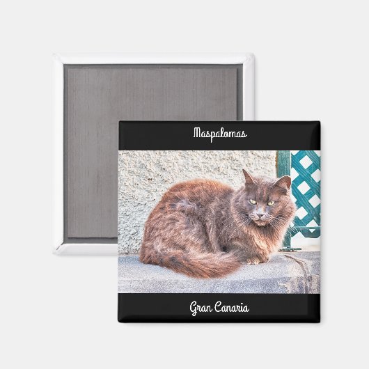 Maspalomas Cat Magneet (Voorkant / Achterkant)