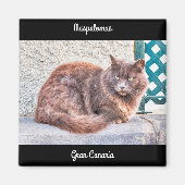 Maspalomas Cat Magneet (Voorkant)