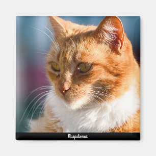 Maspalomas Cat Magneet