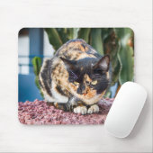 Maspalomas Cat Muismat (Met muis)