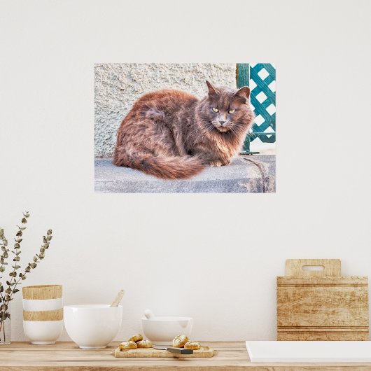 Maspalomas Cat Poster (Keuken)