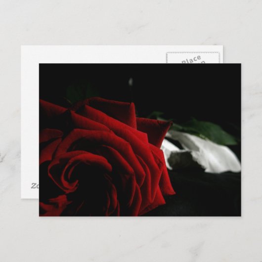 Masquerade Briefkaart (Voorkant / Achterkant)