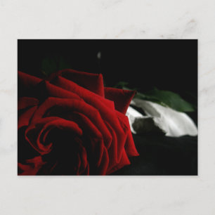 Masquerade Briefkaart