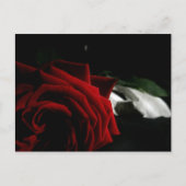 Masquerade Briefkaart (Voorkant)