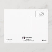 Massa Ascension-ballonnen Briefkaart (Achterkant)