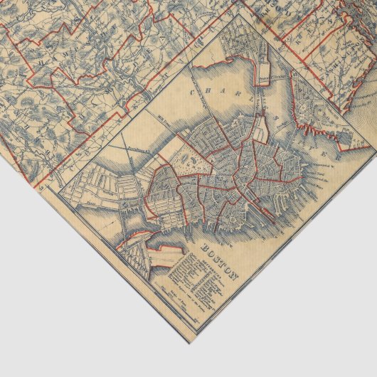 Massa, RI Tissuepapier (Detail)