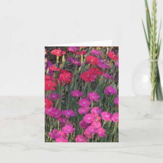 MASSA ROZE EN RODE BLOEMEN KAART (Voorkant)