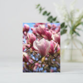 Massa van Magnolia Briefkaart (Staand voorkant)