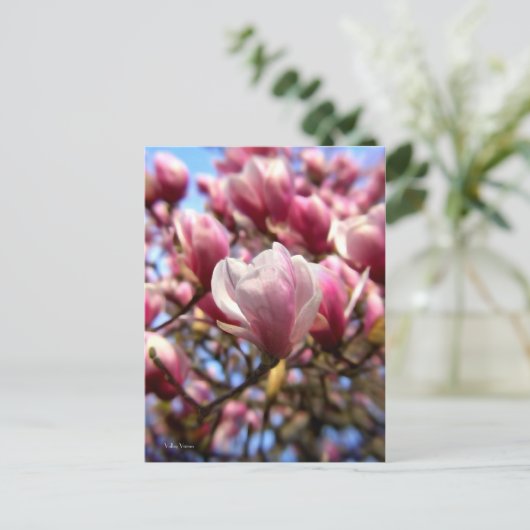 Massa van Magnolia Briefkaart (Staand voorkant)