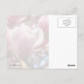 Massa van Magnolia Briefkaart (Achterkant)