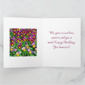 MASSA VAN PANSIES / GROTE VERJAARDAG KAART UIT GRO (Binnen)