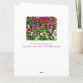 MASSA VAN PANSIES / GROTE VERJAARDAG KAART UIT GRO (Achterkant)