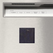 Massachusetts 6 magneet (Insitu (Vaatwasser))