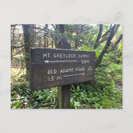 Massachusetts Appalachian Trail Postcard Briefkaart (Voorkant)