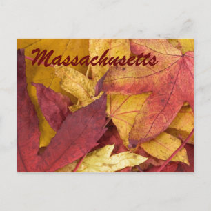 Massachusetts Autumn Leaves Briefkaart