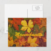 Massachusetts Autumn Leaves Briefkaart (Voorkant / Achterkant)