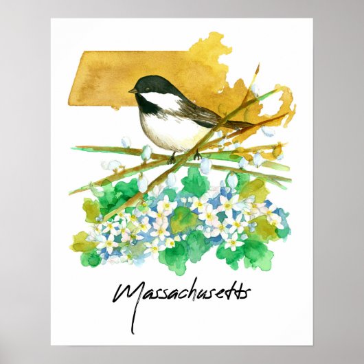Massachusetts Bird Chickadee Willow Branches Poster (Voorkant)