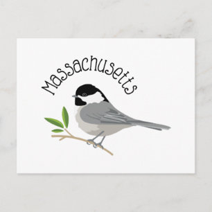 Massachusetts Chickadee Briefkaart