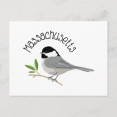 Massachusetts Chickadee Briefkaart (Voorkant)