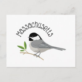 Massachusetts Chickadee Briefkaart