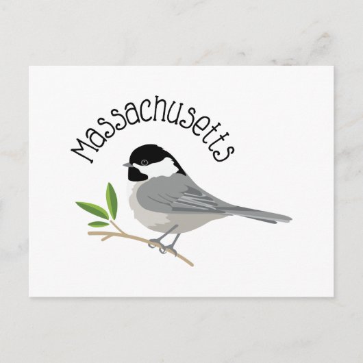 Massachusetts Chickadee Briefkaart (Voorkant)