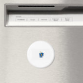 Massachusetts Flag Magnet (Insitu (Vaatwasser))
