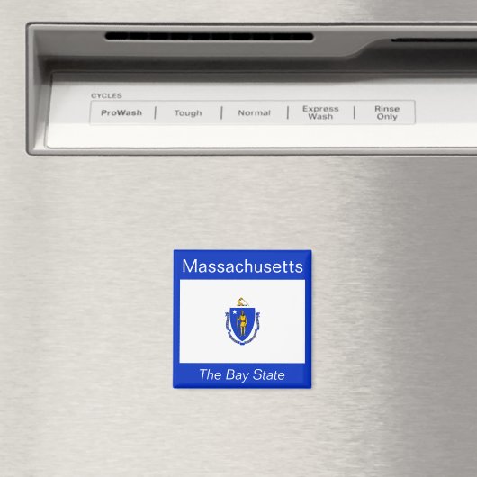 Massachusetts Flag Magnet (Insitu (Vaatwasser))