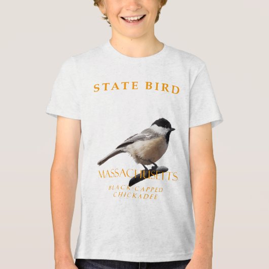 Massachusetts Gebiedsvogel De Mees Tri-Blend Shirt (Voorkant)