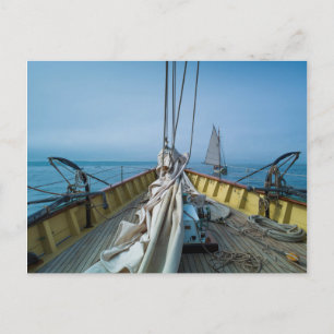Massachusetts, Gloucester, Schooner Festival 3 Briefkaart