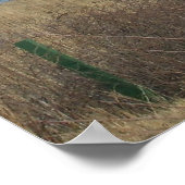 Massachusetts Lighthouse Poster (Hoek)