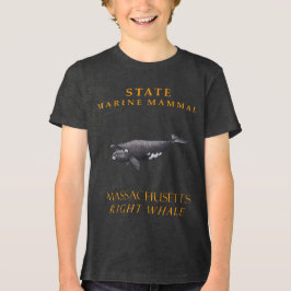 Massachusetts Marine Mammal De juiste walvis Tri-Blend Shirt