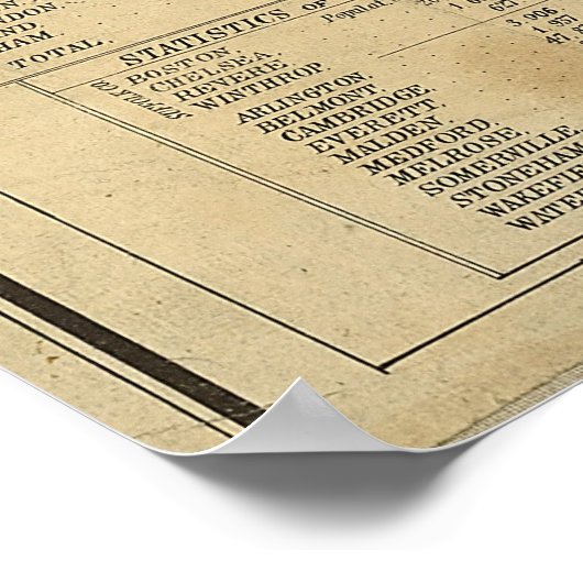 Massachusetts Railroad Map (1879) Poster (Hoek)