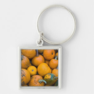 Massachusetts, Salisbury, pompoenen, herfst Sleutelhanger