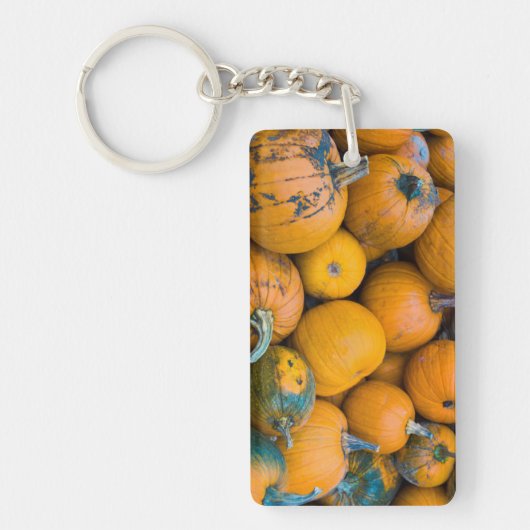 Massachusetts, Salisbury, pompoenen, herfst Sleutelhanger (Voorkant)