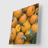 Massachusetts, Salisbury, pompoenen, herfst Vierkante Klok (Hoek)