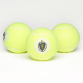 Massachusetts Staatsvlag Tennisballen (Multi)