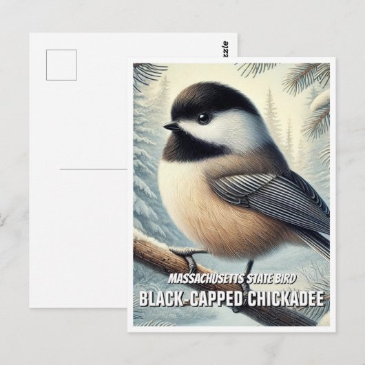 Massachusetts State Bird Chickadee met zwarte kap Briefkaart (Voorkant / Achterkant)
