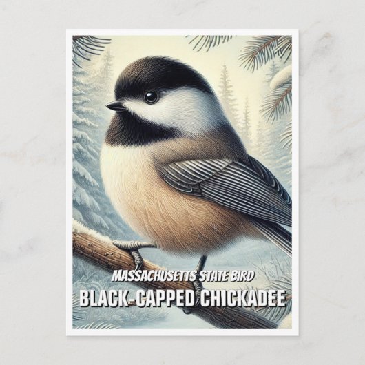 Massachusetts State Bird Chickadee met zwarte kap Briefkaart (Voorkant)