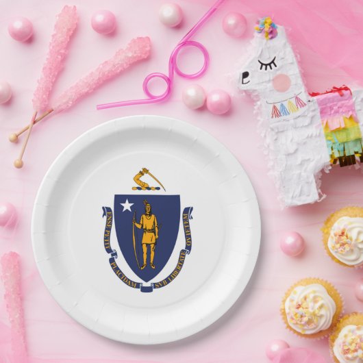 Massachusetts State Flag Design Papieren Bordje (Feest)