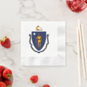 Massachusetts State Flag Design Servet (Insitu)