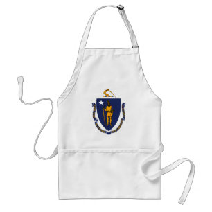Massachusetts State Flag Design Standaard Schort
