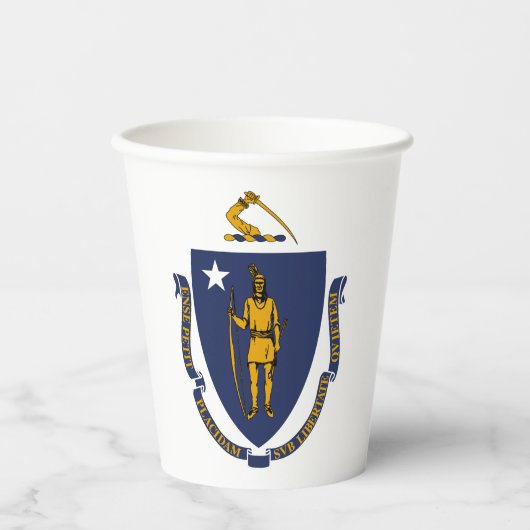 Massachusetts State Flag Papieren Bekers (Voorkant)