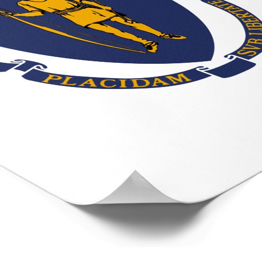 Massachusetts State Flag Poster (Hoek)