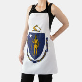 Massachusetts State Flag Schort (Insitu)