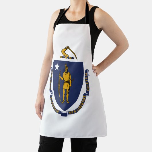 Massachusetts State Flag Schort (Insitu)