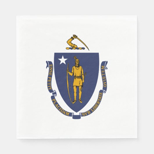 Massachusetts State Flag Servet (Voorkant)