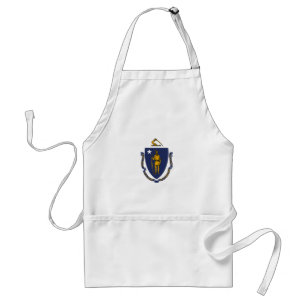 Massachusetts State Flag Standaard Schort