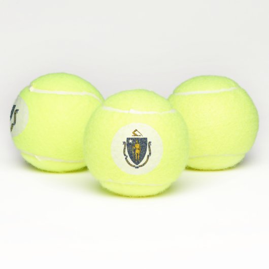 Massachusetts State Flag Tennisballen (Multi)