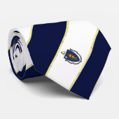 Massachusetts strepen vlag stropdas (Opgerold)